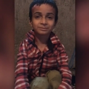 دانبال